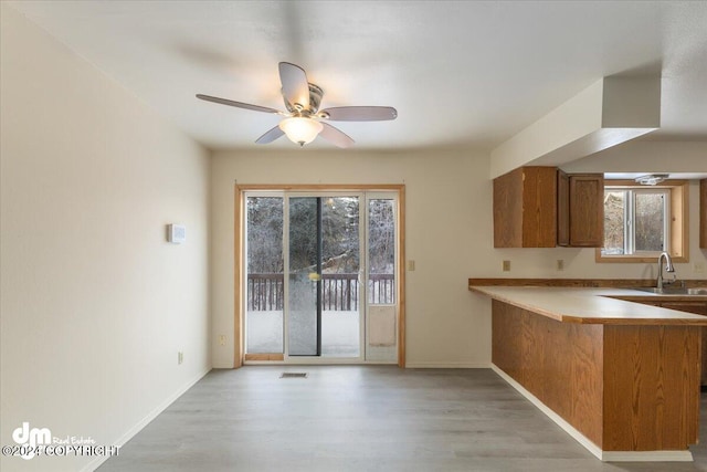 kitchen featuring a wealth of natural light, ceiling fan, and light wood-type flooring