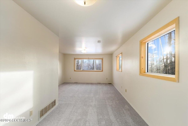 spare room featuring a healthy amount of sunlight and light colored carpet