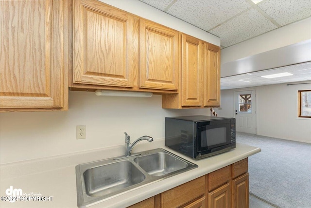 kitchen with a paneled ceiling, sink, and carpet floors