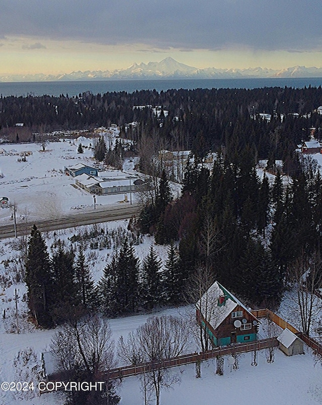 view of snowy aerial view