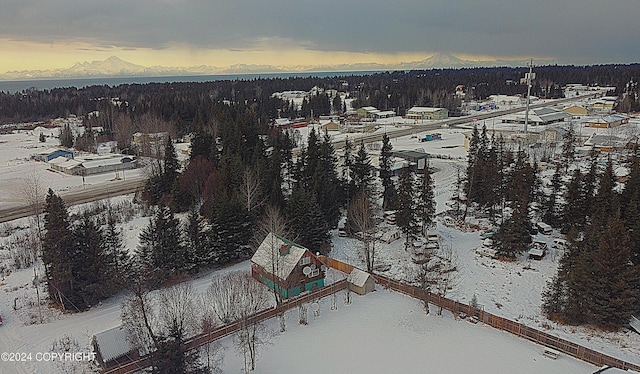 view of snowy aerial view