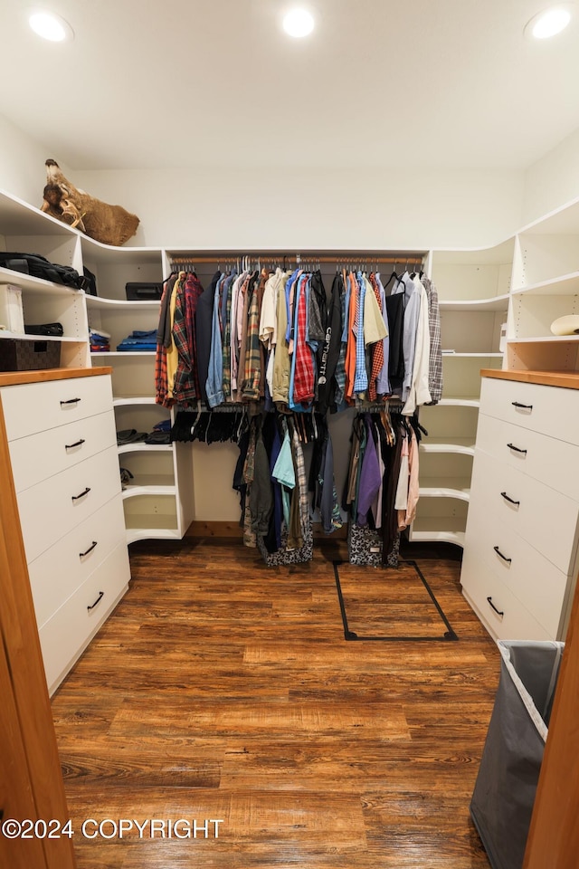 34184 House Dr, Soldotna, AK 99669 - spacious closet with dark wood-type flooring