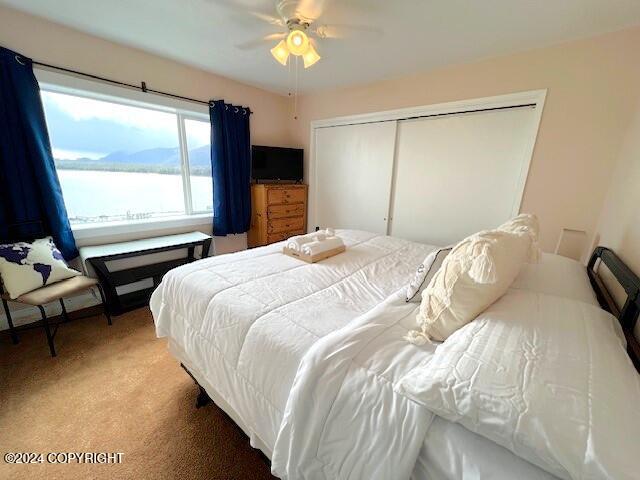 bedroom with ceiling fan, carpet floors, and a closet