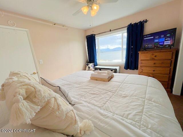 bedroom featuring ceiling fan