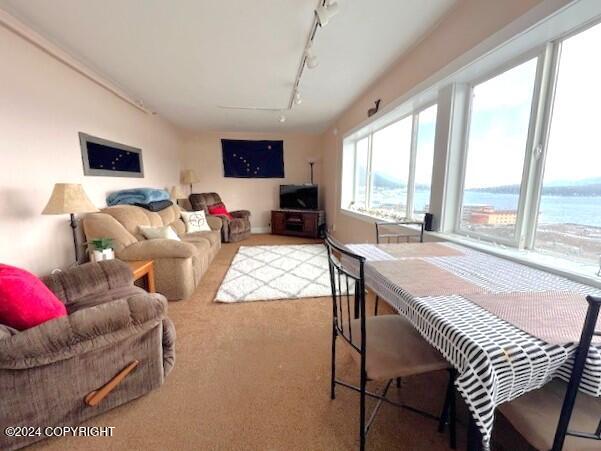 carpeted living room featuring track lighting