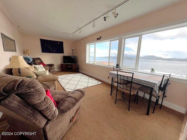 carpeted living room with rail lighting