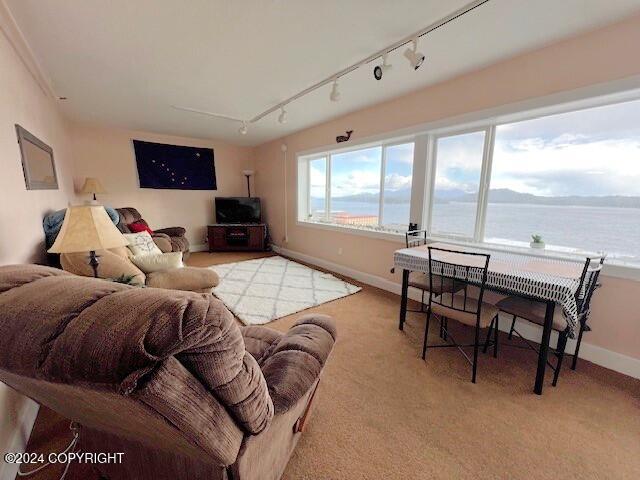 living room featuring light carpet and track lighting