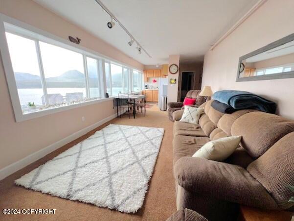 living room featuring rail lighting and a water and mountain view