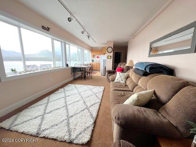 carpeted living room with a mountain view and track lighting