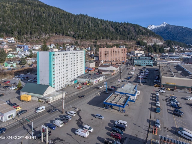 birds eye view of property featuring a mountain view