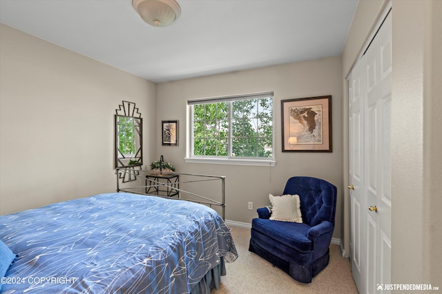 carpeted bedroom featuring a closet