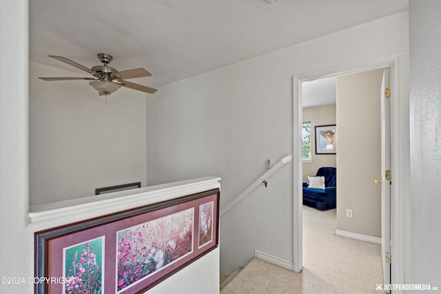 corridor with light colored carpet