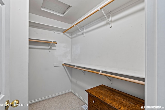 spacious closet featuring carpet flooring