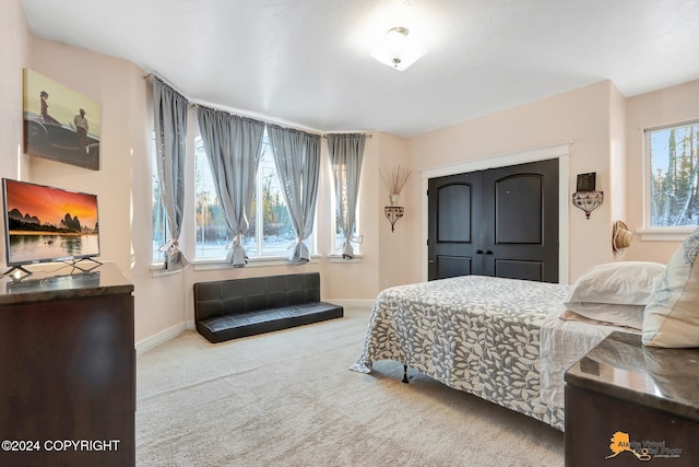 bedroom featuring a closet and carpet