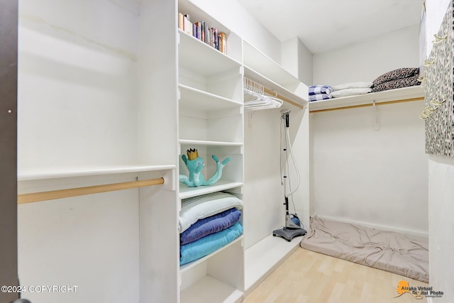 spacious closet with hardwood / wood-style floors