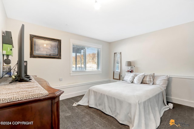 bedroom featuring dark carpet