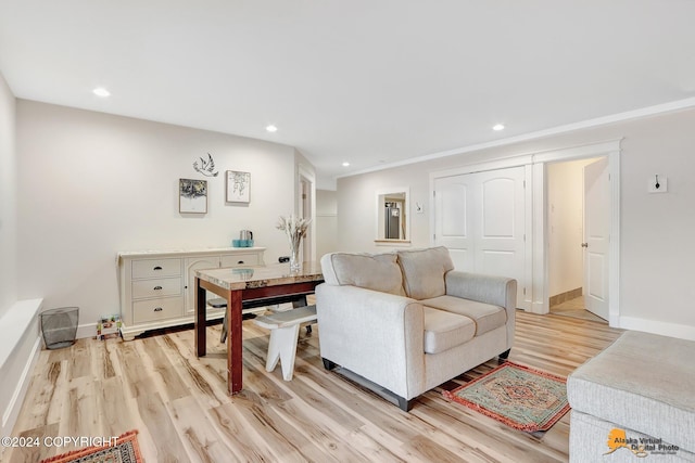 living room featuring light wood-type flooring