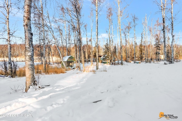 view of yard covered in snow