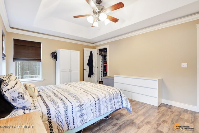 bedroom featuring ceiling fan, a raised ceiling, crown molding, light hardwood / wood-style floors, and a closet