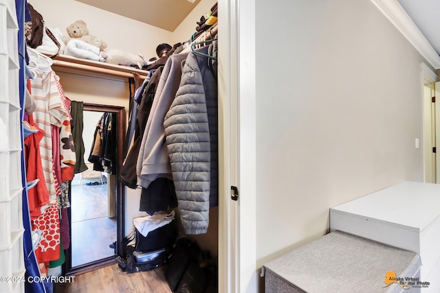 walk in closet with hardwood / wood-style flooring