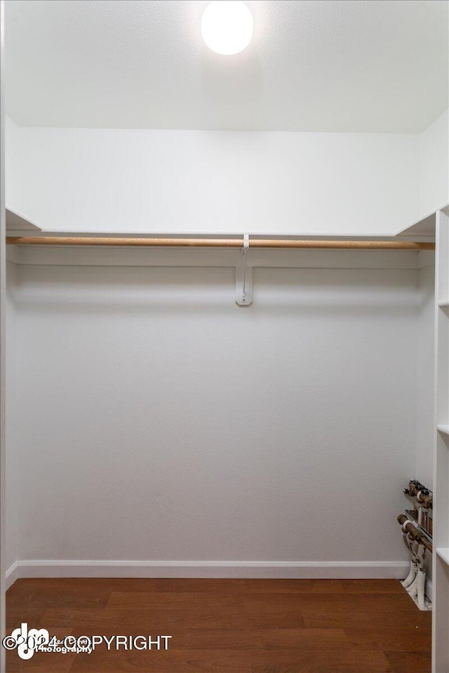 walk in closet featuring dark hardwood / wood-style flooring