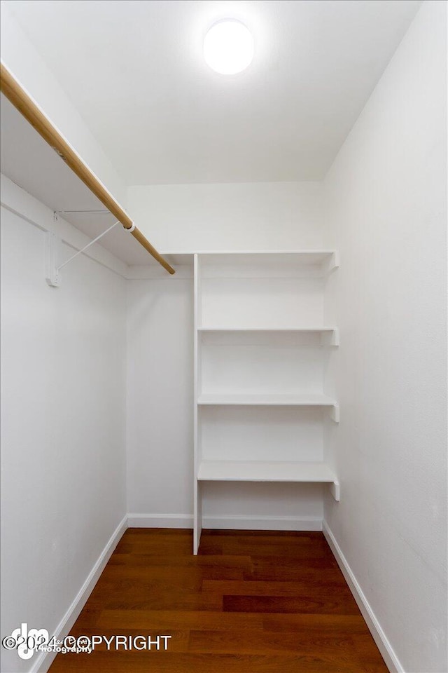 spacious closet with dark hardwood / wood-style flooring