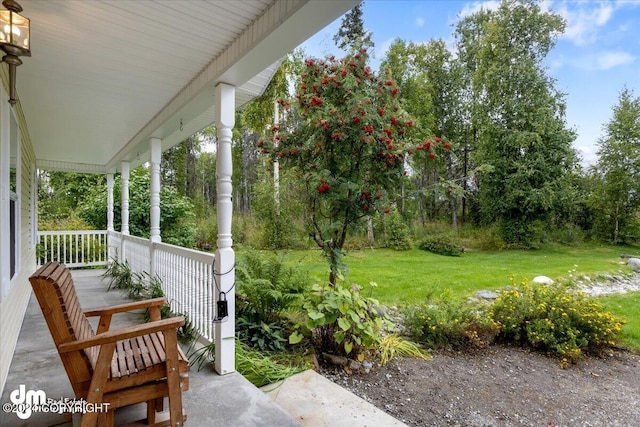 view of yard with a porch