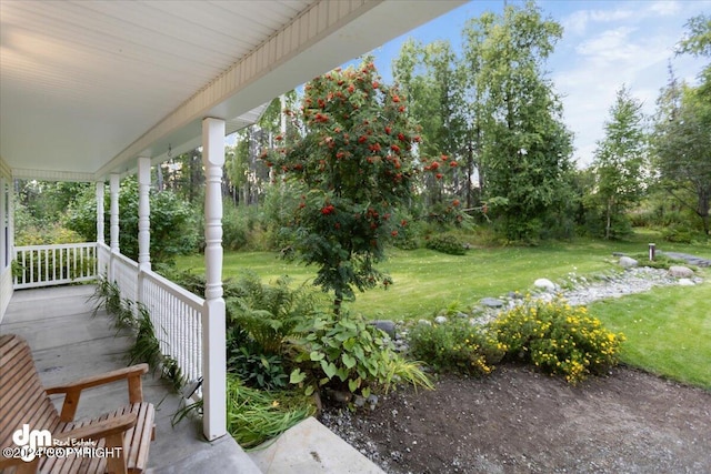 view of yard featuring a porch