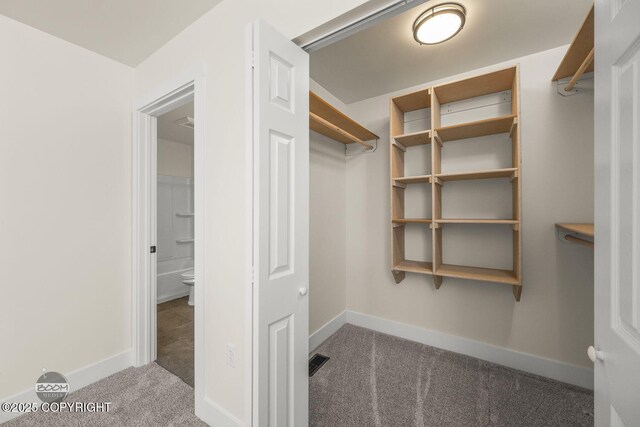 4980 Kelsi Loop, Wasilla, AK 99654 - walk in closet featuring carpet floors