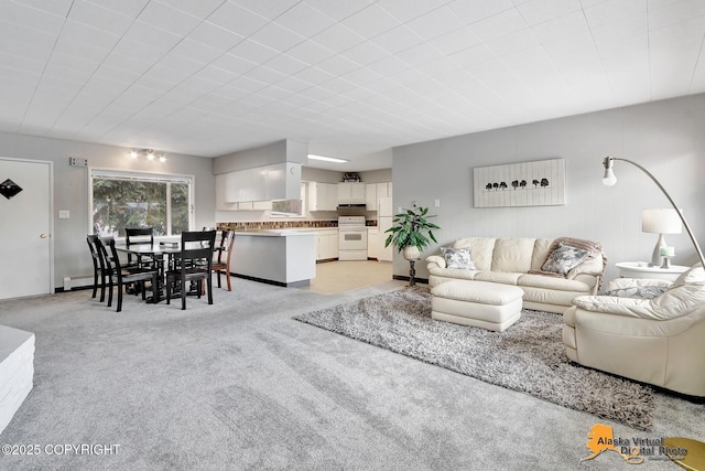 living room featuring light colored carpet