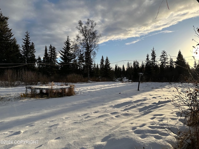 68537 Veater Ave, Ninilchik, AK 99639 - yard layered in snow with a view of trees