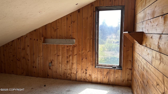 68537 Veater Ave, Ninilchik, AK 99639 - bonus room with vaulted ceiling, wooden walls, carpet flooring, and plenty of natural light