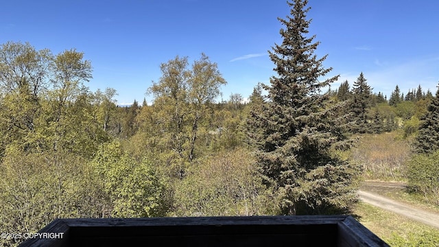 68537 Veater Ave, Ninilchik, AK 99639 - view of tree filled area