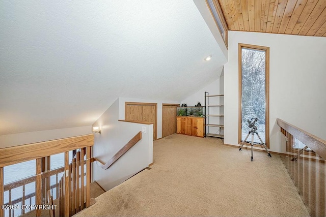 additional living space featuring light colored carpet, lofted ceiling, and wood ceiling