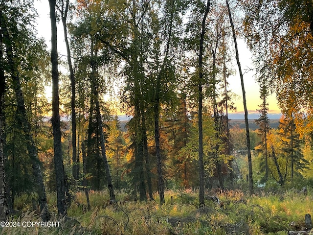 view of nature at dusk