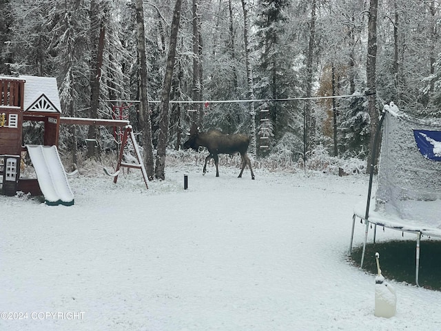 yard layered in snow with a playground and a trampoline