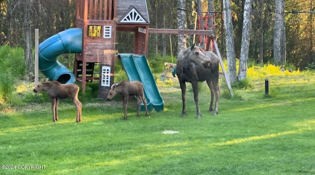 view of jungle gym with a yard