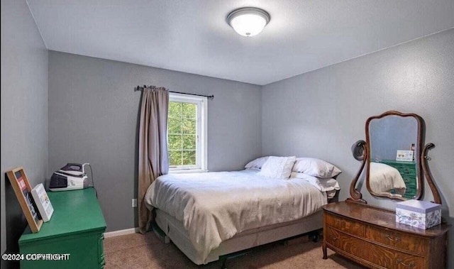 bedroom with carpet