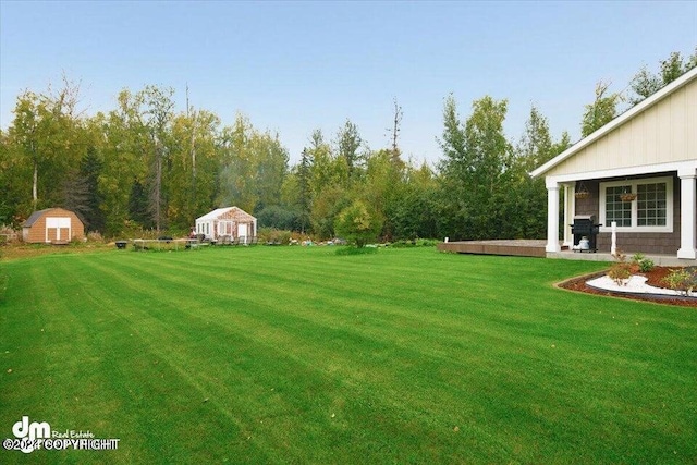 view of yard featuring a shed