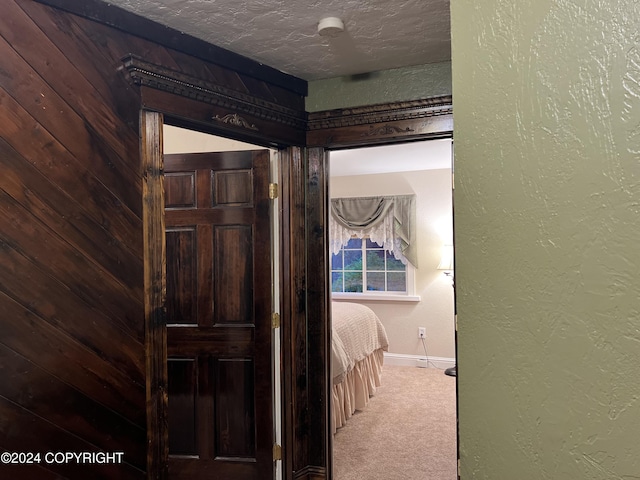 38400 Robinson Loop Rd, Sterling, AK 99672 - hall featuring carpet, baseboards, a textured wall, and a textured ceiling