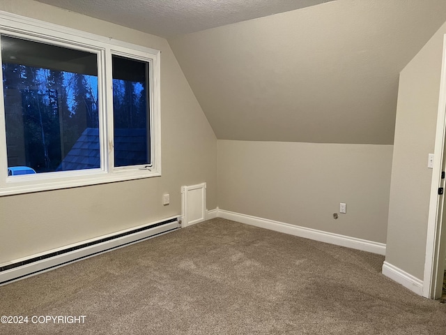 38400 Robinson Loop Rd, Sterling, AK 99672 - additional living space with carpet floors, baseboard heating, lofted ceiling, baseboards, and a textured ceiling