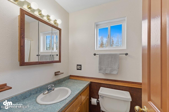 bathroom featuring vanity, toilet, and a wealth of natural light