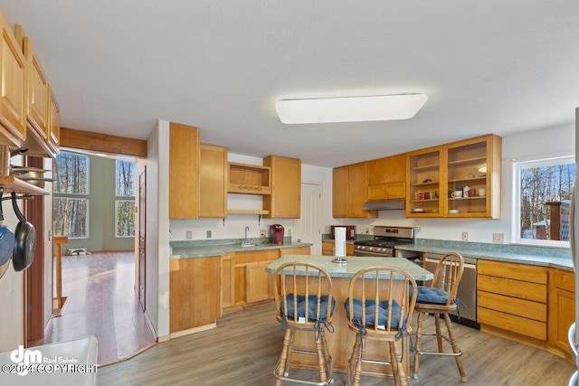 kitchen with a kitchen breakfast bar, light wood-type flooring, stainless steel appliances, sink, and a center island