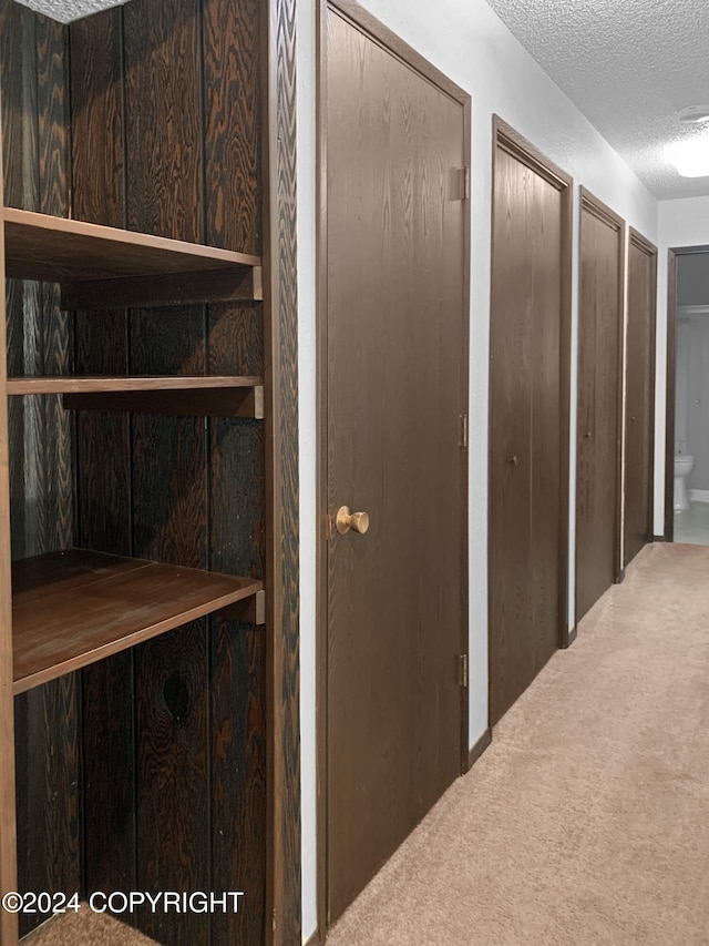 interior space featuring carpet and a textured ceiling