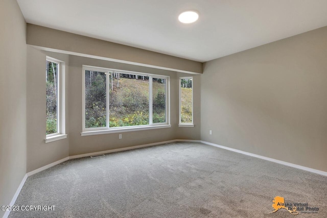 empty room featuring carpet floors