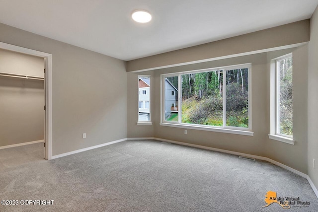 unfurnished bedroom featuring multiple windows, a walk in closet, and light colored carpet