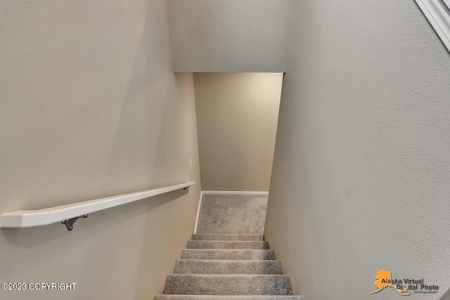 staircase with carpet floors