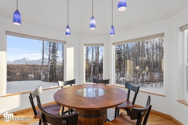 dining room with a mountain view and light hardwood / wood-style flooring