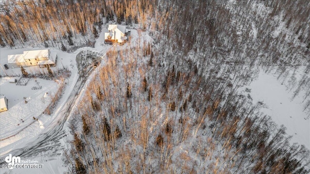 view of snowy aerial view