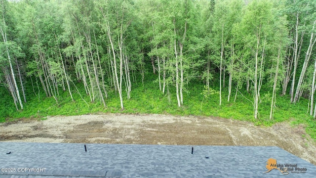 10197 E Delia Ridge Cir, Palmer, AK 99645 - photo 10